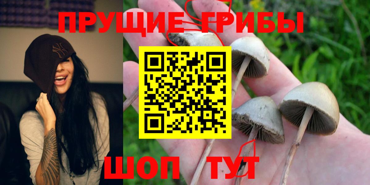 Галлюциногенные грибы GOLDEN TEACHER  Вход с VPN  Можайск 
